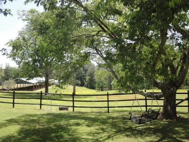 The farm is home to horses, chickens, dogs, cats and a donkey